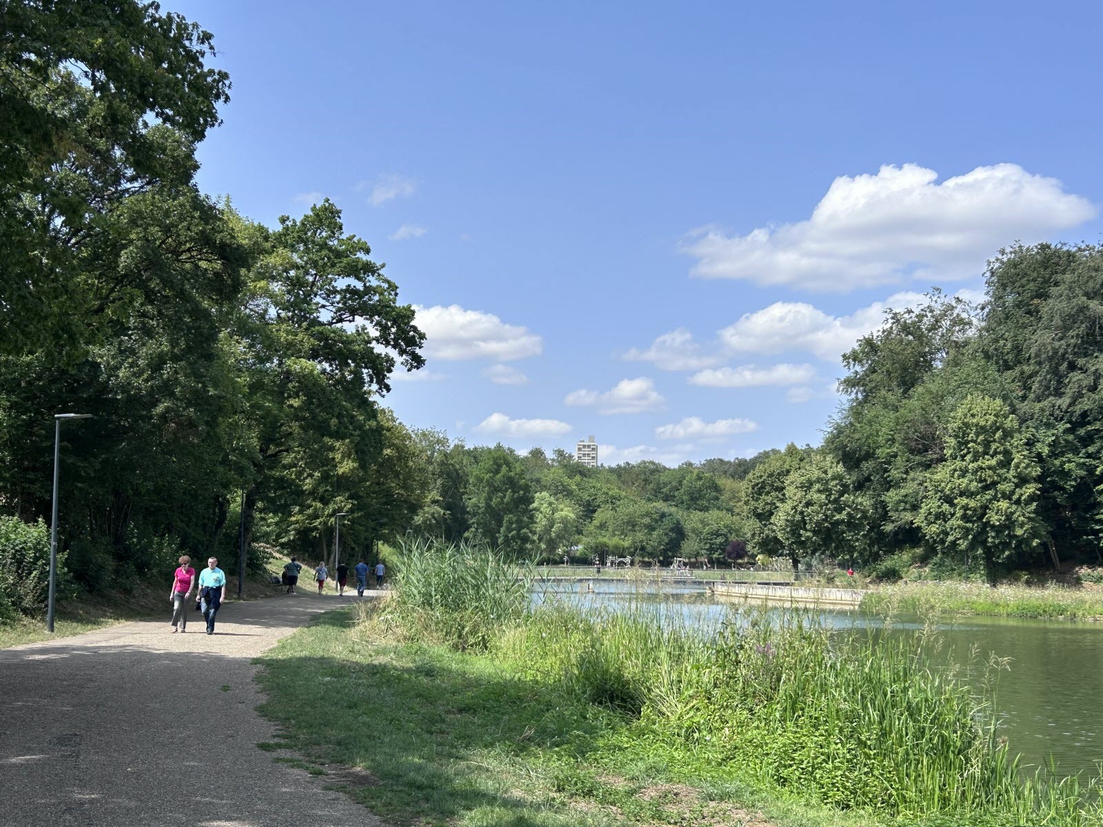 MARCHE JOURNEE 12 MARS 2026 2